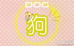 属狗人有多大机会碰到艳遇