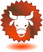 金牛座为爱做的改变