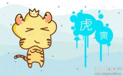 属虎人会去承担自己的失误吗