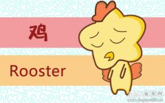 属鸡人对于未来有什么规划