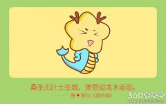 属龙男能给女友带什么惊喜