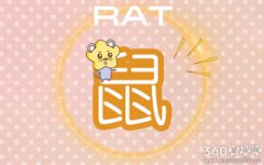 什么事情在属鼠人看来极度危险