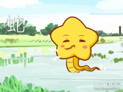 属蛇人从事什么工作会很高调