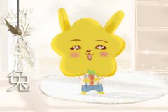 2019属兔的运程怎么样 运势如何