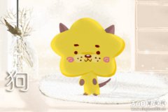 2018年是什么命五行属什么 命运如何