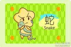 属蛇和什么属相相冲 生肖配对