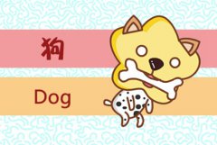 2021年属牛24岁本命年可以结婚吗 有什么讲究