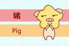 2021年属猪的人谈恋爱需要什么技巧