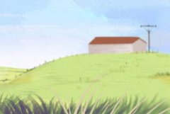 属兔人2021年往哪个方向发展好 财运的方向