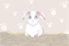 属兔人2021年佩戴什么保平安 忌讳什么颜色