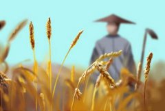 29岁属猴男的运势 92年属猴男2021年婚姻运势