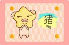 2021年生肖猪1983年运势 全年财运分析