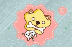 和属狗的最配的生肖是什么 什么属相和属狗人最合适