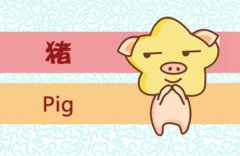 属猪人的命运分析 属猪的人每月出生的不同命运