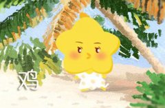 2021年生肖鸡用什么颜色钱包最聚财