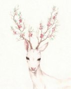 白羊座发脾气指数