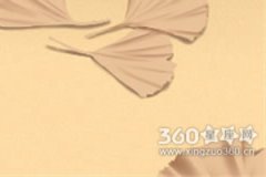 生肖马的人性格特点是什么呢？