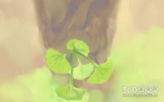 十二生肖的故事图片，十二生肖发生着什么样的故事