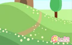 塔罗奥义2017年生肖猪运势