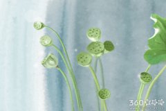 苏民峰2017年生肖狗运势完整版