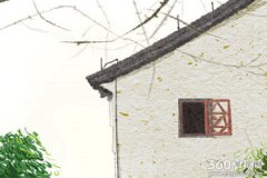 深情不及久伴_越老越恩爱的生肖(女生篇)