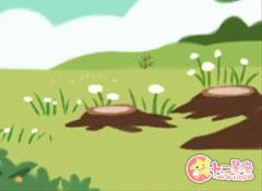 泓翔老师2017年生肖鼠运程完整版