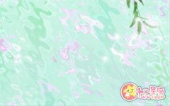 宋韶光2017年生肖鼠运势