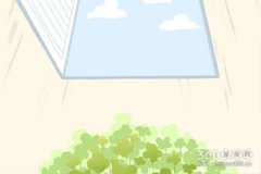 最有夫妻相的生肖是哪些？