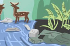 徐墨斋2017年生肖虎运程完整版