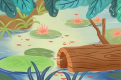 属猪和什么属相最配_属猪人的婚姻与命运如何