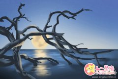 方久铭每日生肖运势【2017年1月16日】