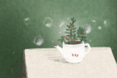 张盛舒2017年生肖兔运势排行榜