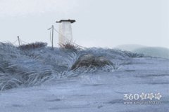 超灵验开运大师每周生肖运势【2017.3.8-3.14】