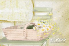 浮图塔2017年4月生肖鼠运势