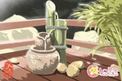 没有庆祝生日的习惯的生肖女