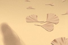 屹立不倒不屈不挠的三大生肖