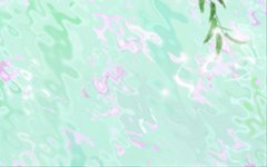 对前任这些生肖爱之深亦恨之切