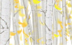 郑博士2017年5月属蛇男女桃花运势