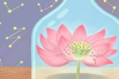 十二生肖被人猛夸会是什么反应