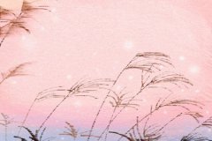 十二生肖男在情人节告白的正确方式