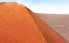 什么样的婚礼主题才能对十二生肖的胃口？