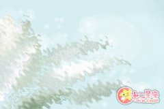 心里话只有输入法知道的生肖