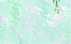 高冷范 脑门刻着生人勿近的生肖女