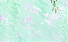 这些生肖很死板 一点也不懂得转弯