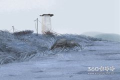 善于思考 这些生肖脑洞很大