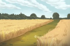 婚后不善于表达缺乏浪漫情调的生肖