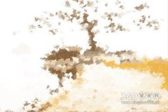 属猴2016猴年运气不好怎么转运