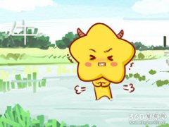 进退两难 明知不会有结果却放不下的生肖男