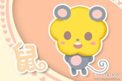 不管远近 能打车绝对不走路的生肖