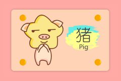 2019年属相是什么生肖 十二生肖排序